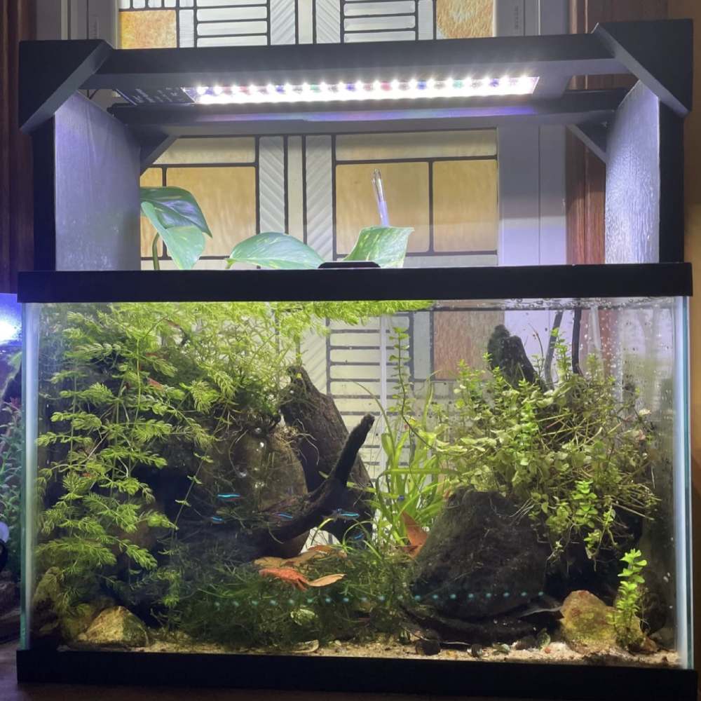 Plant Fish Tank Light - 72W 48In 55In: image 2