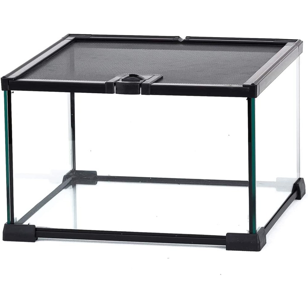 Mini Reptile Glass Terrarium Tank