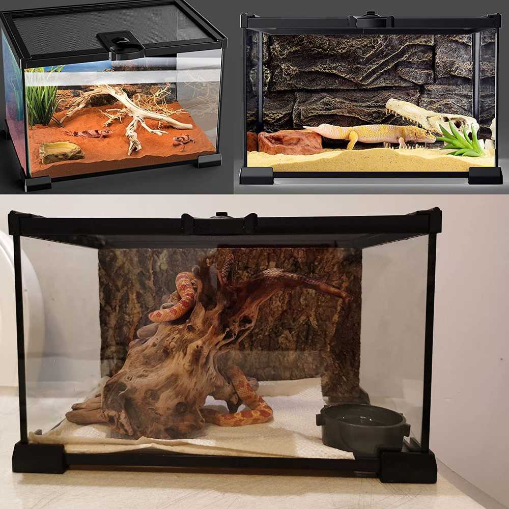 Mini Reptile Glass Terrarium Tank: image 2