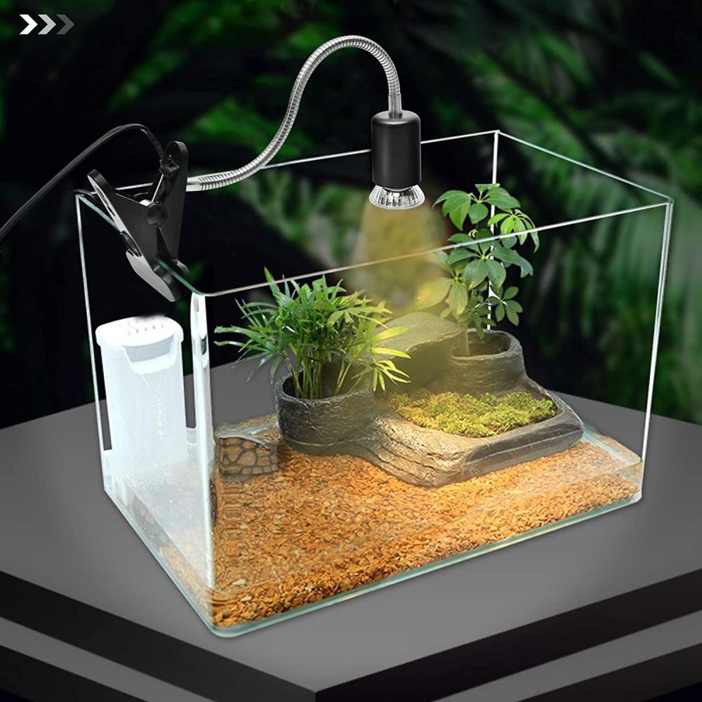 Reptile Heat Lamp