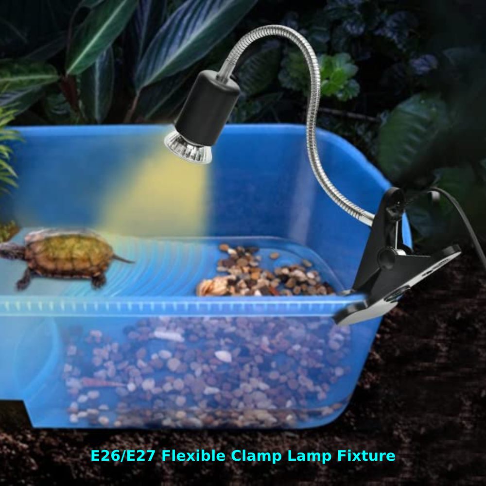 Reptile Heat Lamp