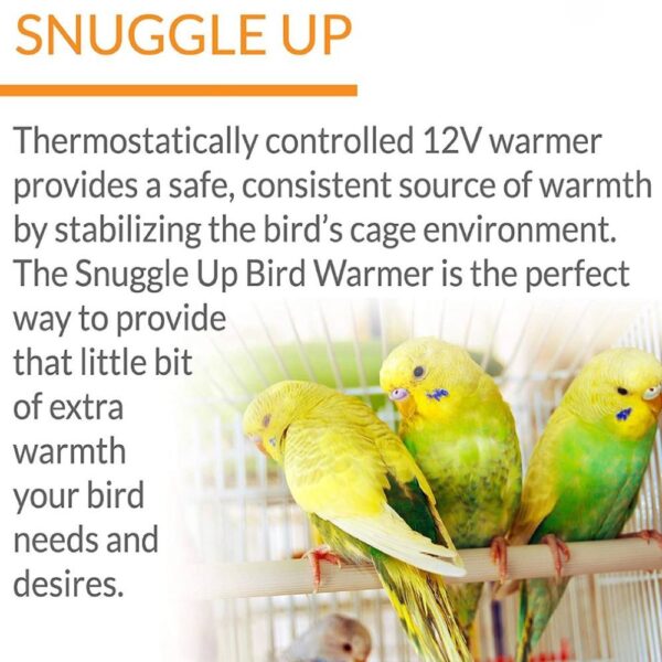 buy bird heater sale online