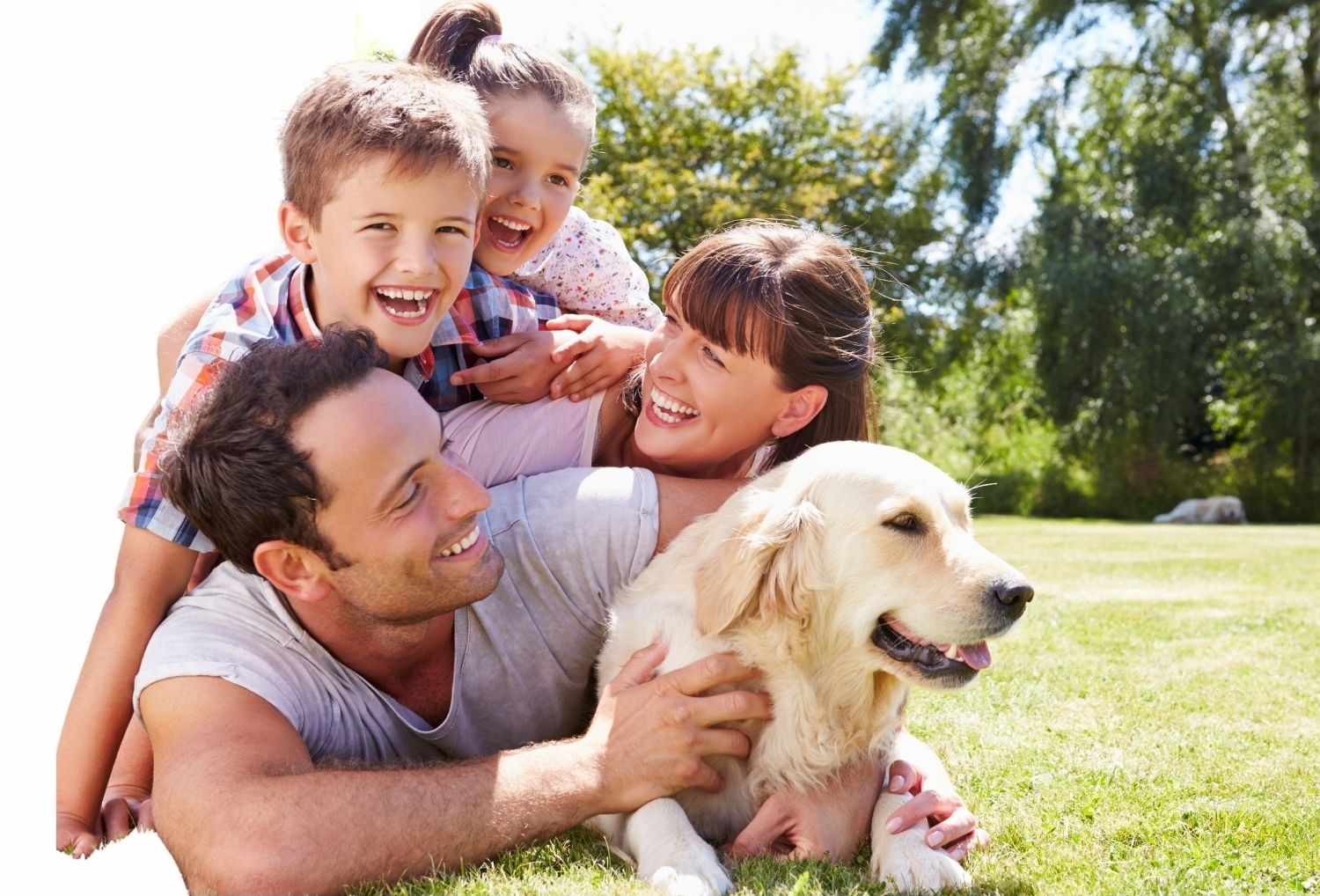 best pet products company online